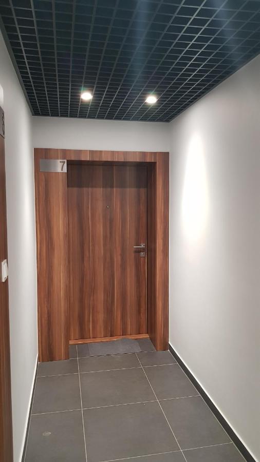 Chopin Park Lux Apartment, Self Check-In 24H, Free Parking, Air-Conditioning พอซนาน ภายนอก รูปภาพ